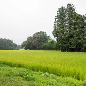 Nasu0912