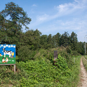 Nasu140904a