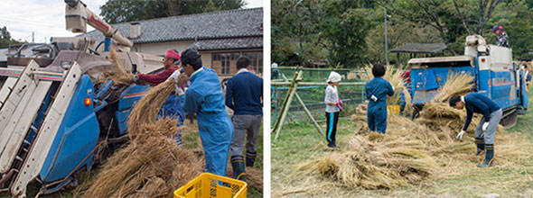 nasu141020d.jpg