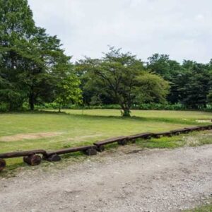 Nasu20130806
