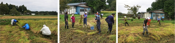 nasu20131018i.jpg