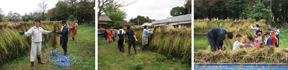 nasu20131018k.jpg