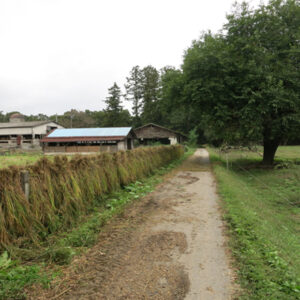 Nasu b20131018