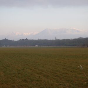 Image1
