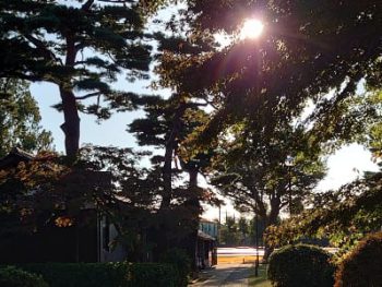 アンケートご協力お礼