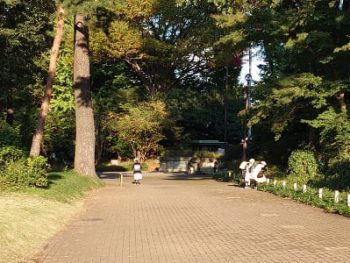 南沢会卒業生大会 動画配信 ご視聴ありがとうございました