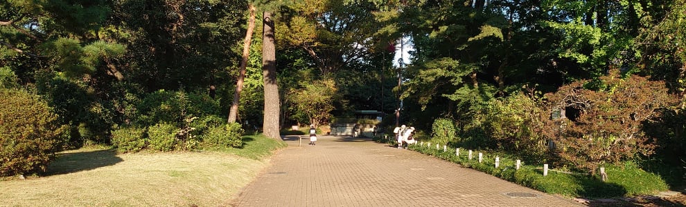 南沢会卒業生大会 動画配信 ご視聴ありがとうございました