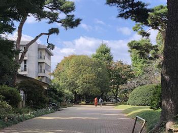 臨時総会決議事項 投票結果のご報告