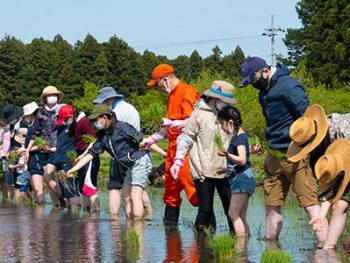 2022年5月 那須農場支援労働報告