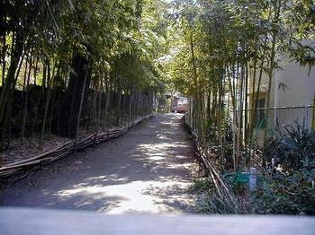 Entrance_7