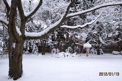 雪景色