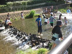 流れがある川遊びは一番人気