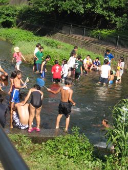 バディのお兄さんお姉さんとたのしい川遊び