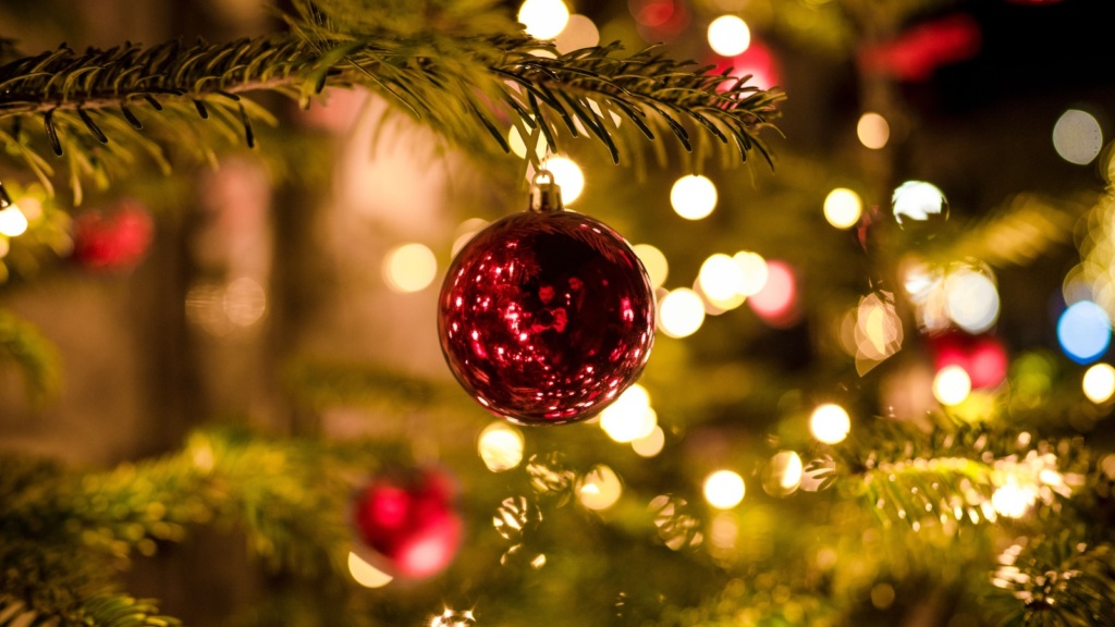 red baubles on green pine tree