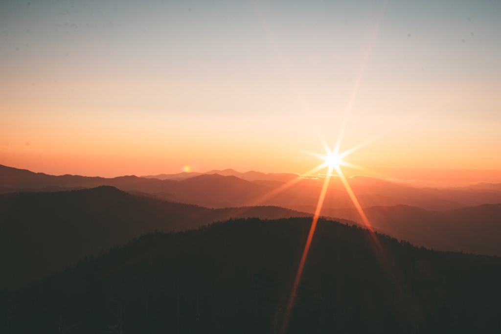 Ivana cajina dqejx2ucpbs unsplash