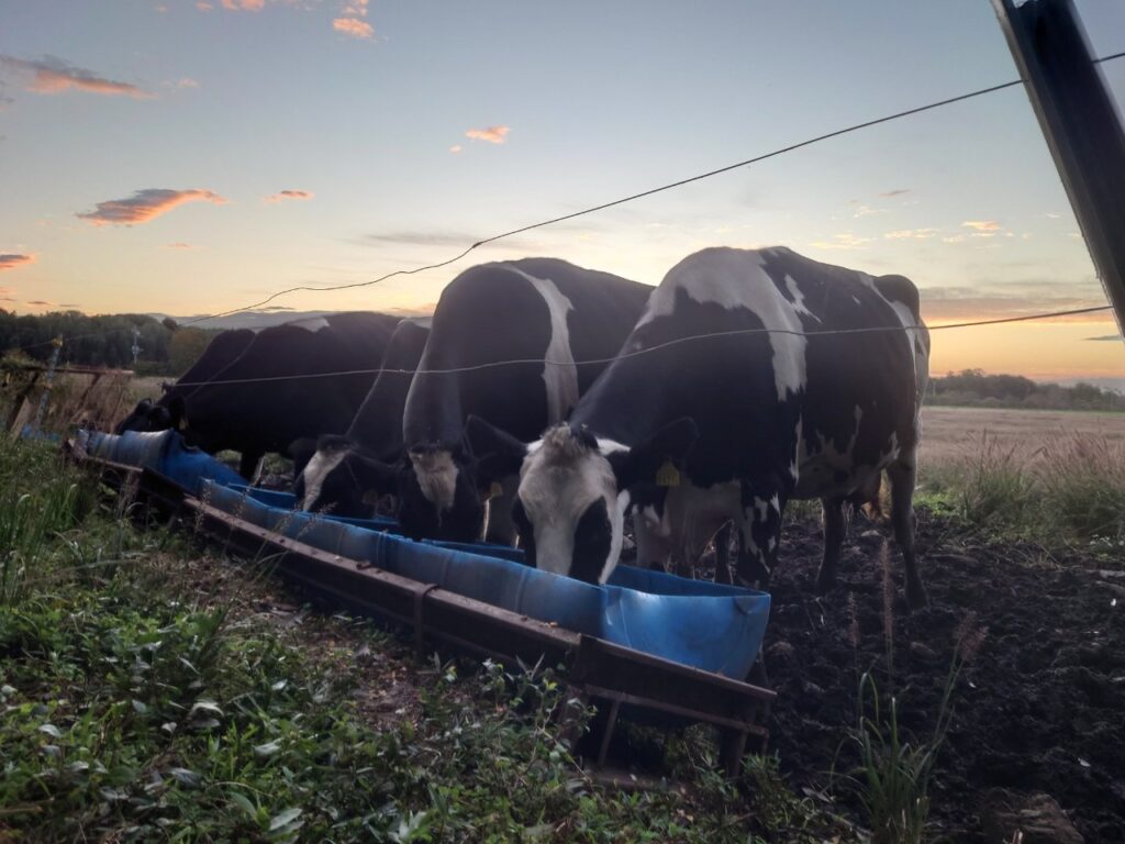 一年の締めくくりに、那須の自然とふれあう時間を｜2025年12月 支援活動のご案内