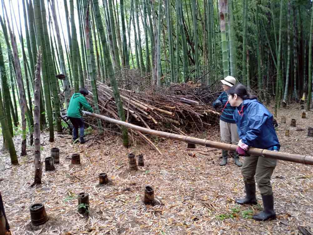 那須農場で再確認した“自由学園らしさ”｜2025年5月 那須農場支援活動報告