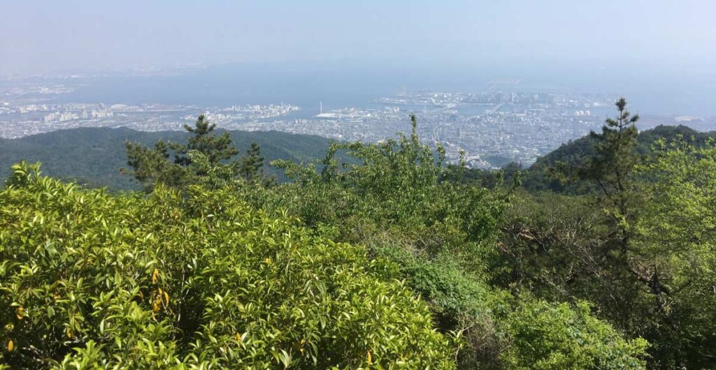 32952220 m